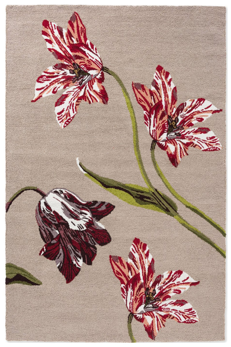 TB-O-botanical-tulip-burgundy-455610_1